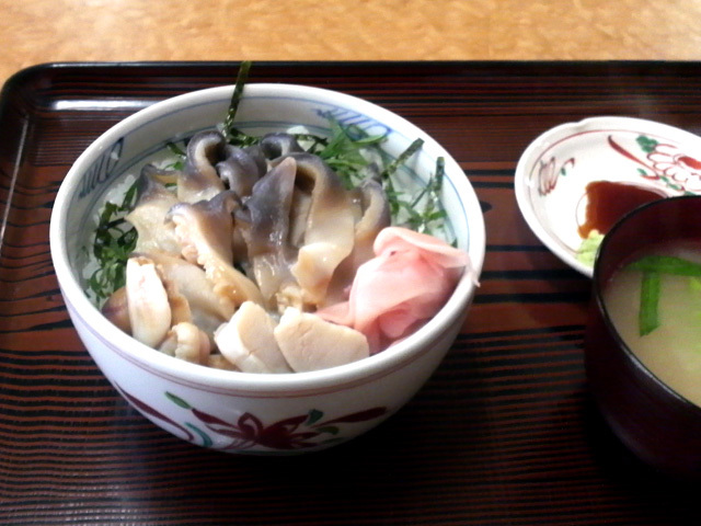 P1000278.jpg